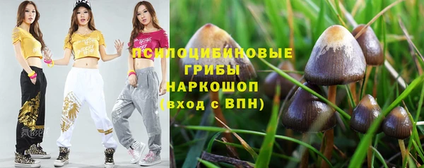 альфа пвп Белокуриха