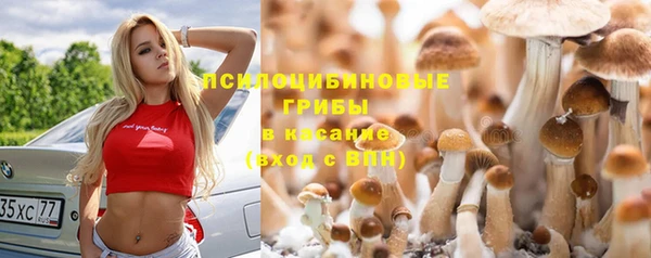 метадон Снежногорск