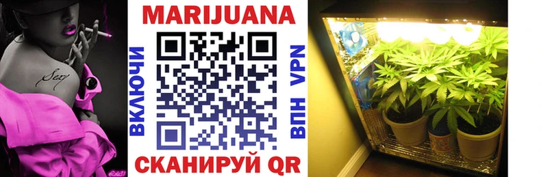 Канабис OG Kush наркотики Вяземский